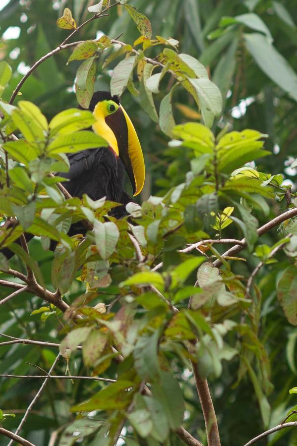 Апартаменты Soul Sync Sanctuary Formally Hacienda La Moringa Плайя-Эрмоса Экстерьер фото
