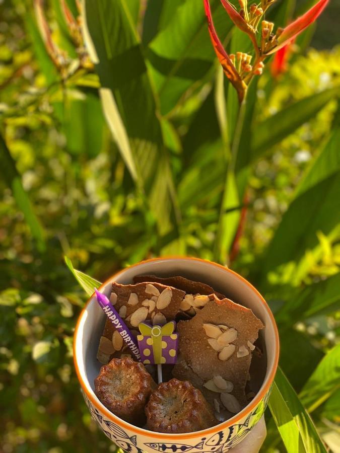 Апартаменты Soul Sync Sanctuary Formally Hacienda La Moringa Плайя-Эрмоса Экстерьер фото